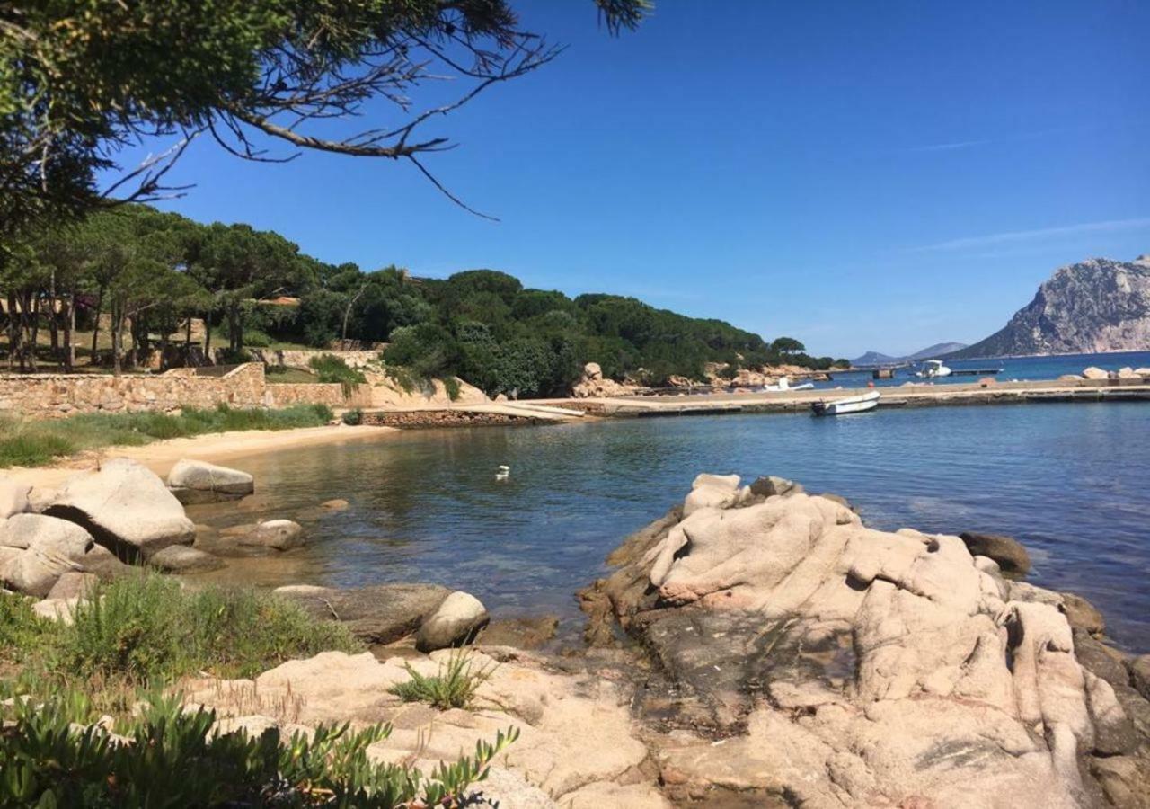 Casa Asparagi San Teodoro  Dış mekan fotoğraf